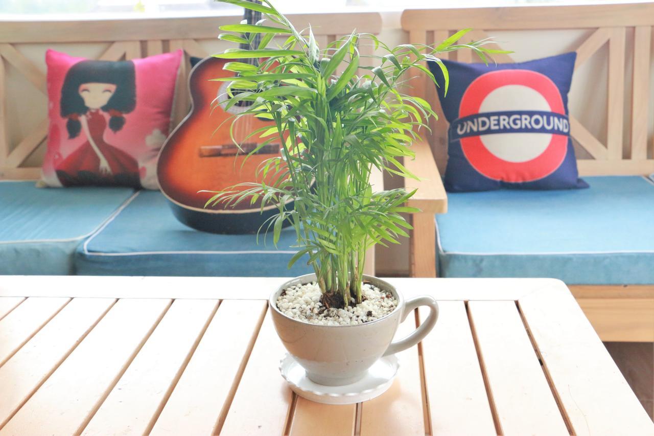 Dalat Eco Home Eksteriør bilde